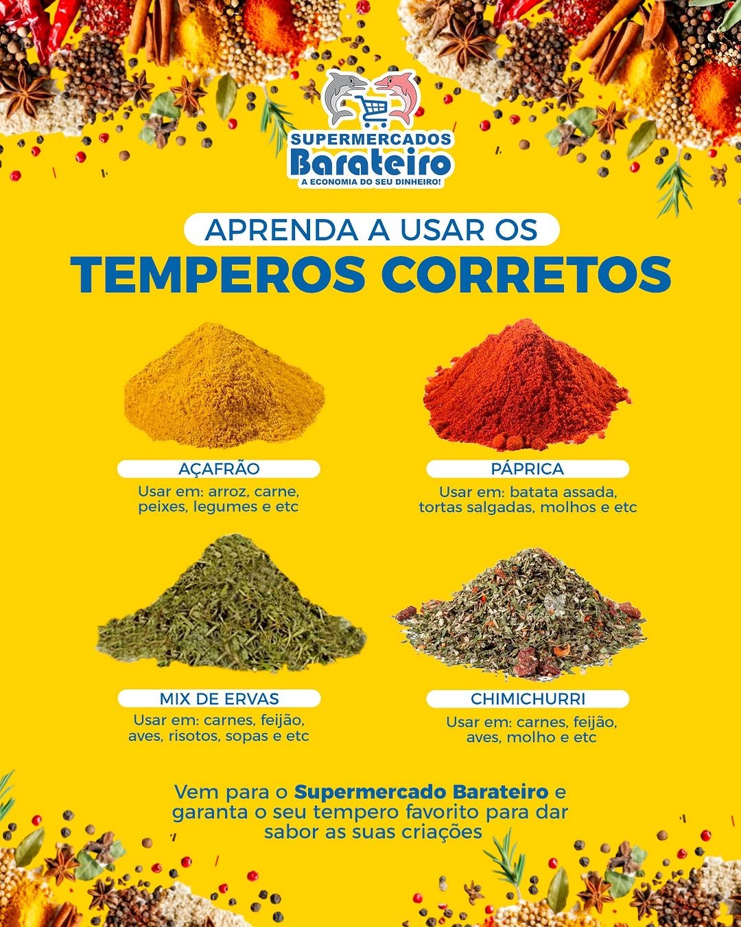 Barateiro- Aprenda a Usar os Temperos