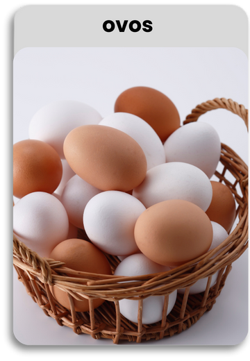 A Diferença Entre Ovos Brancos e Marrons: O Que Você Precisa Saber