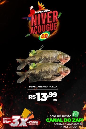 DB Açougue